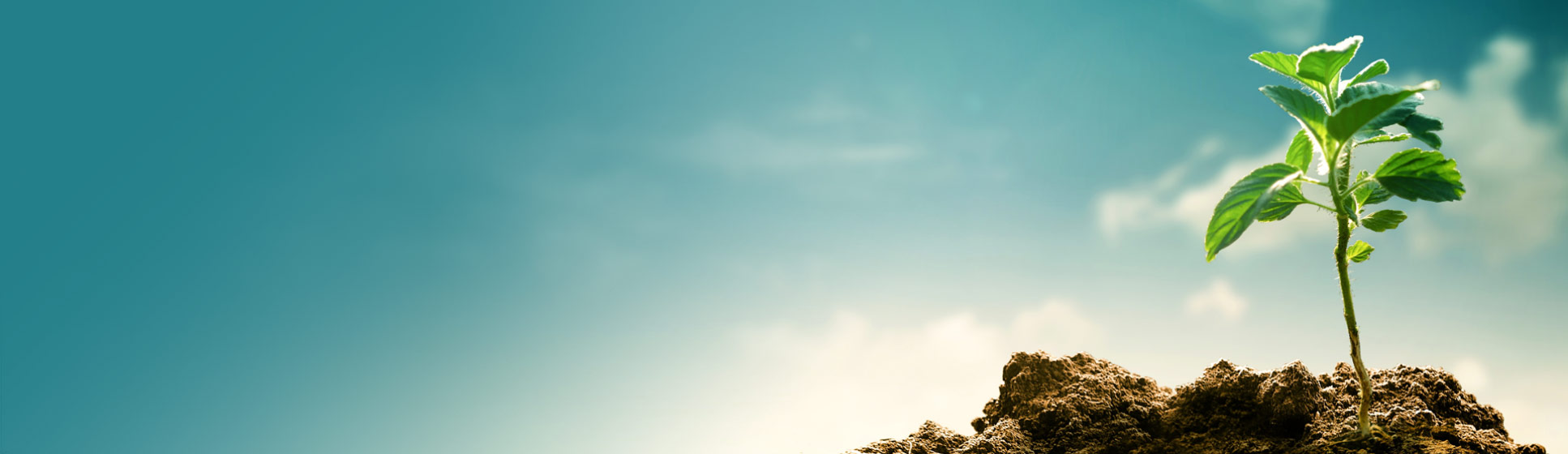 WEBINAR – The business response to the climate challenge, 29 April 2020
