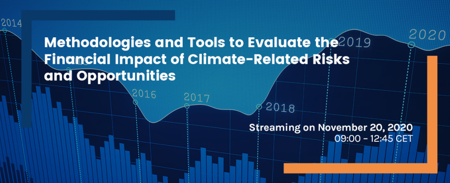 Methodologies and Tools to Evaluate the Financial Impact of Climate-Related Risks and Opportunities – FEEM