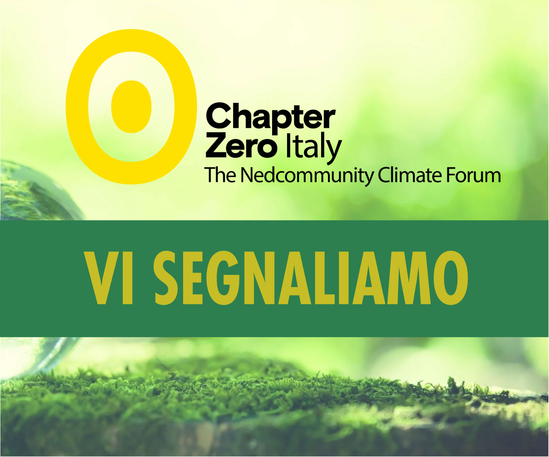 Key outcomes for boards from COP16: Is nature accounted for in your company’s strategy?  